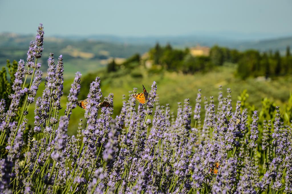 Adalberto - Nella Dimora Di Fulignano San Gimignano Exterior foto