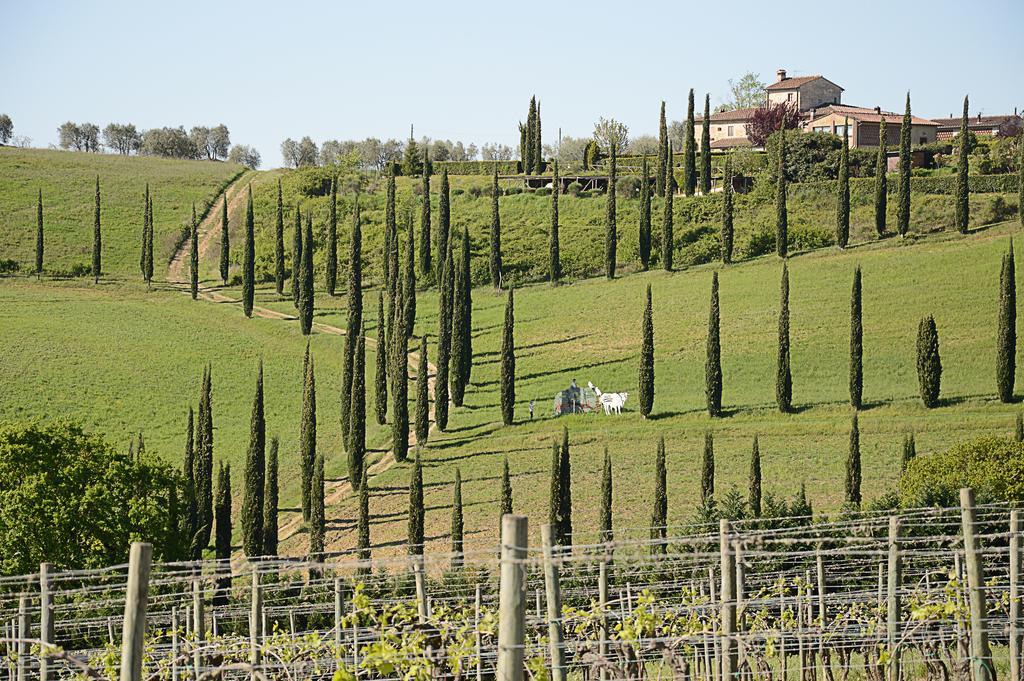 Adalberto - Nella Dimora Di Fulignano San Gimignano Exterior foto
